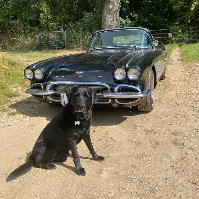1961 Chevrolet Corvette