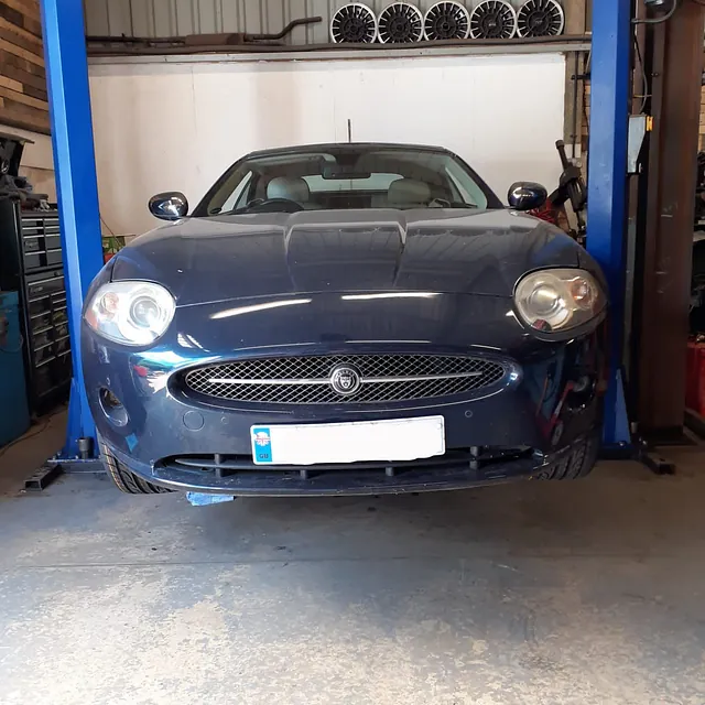 jaguar